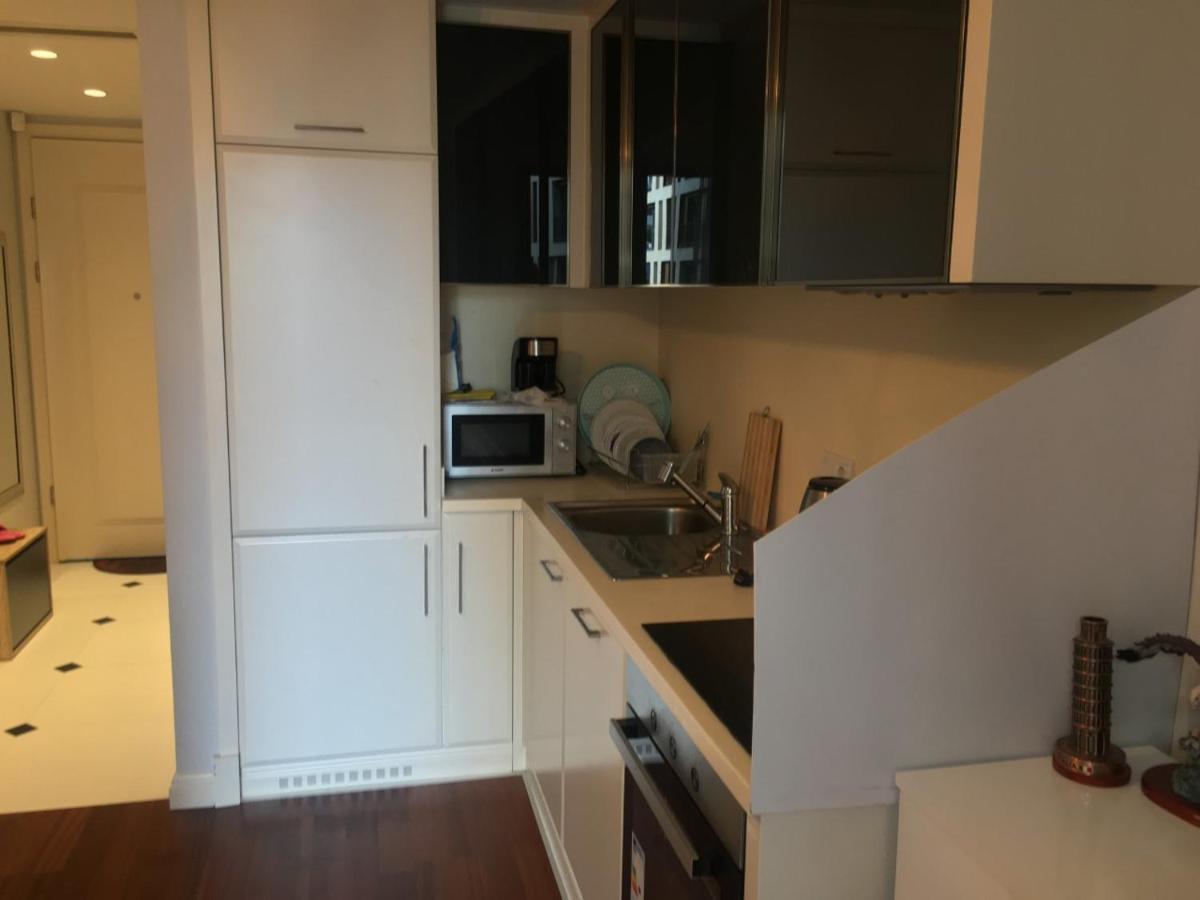 Studio Flat-one In Lux Near Taksim-beyoglu Apartment *